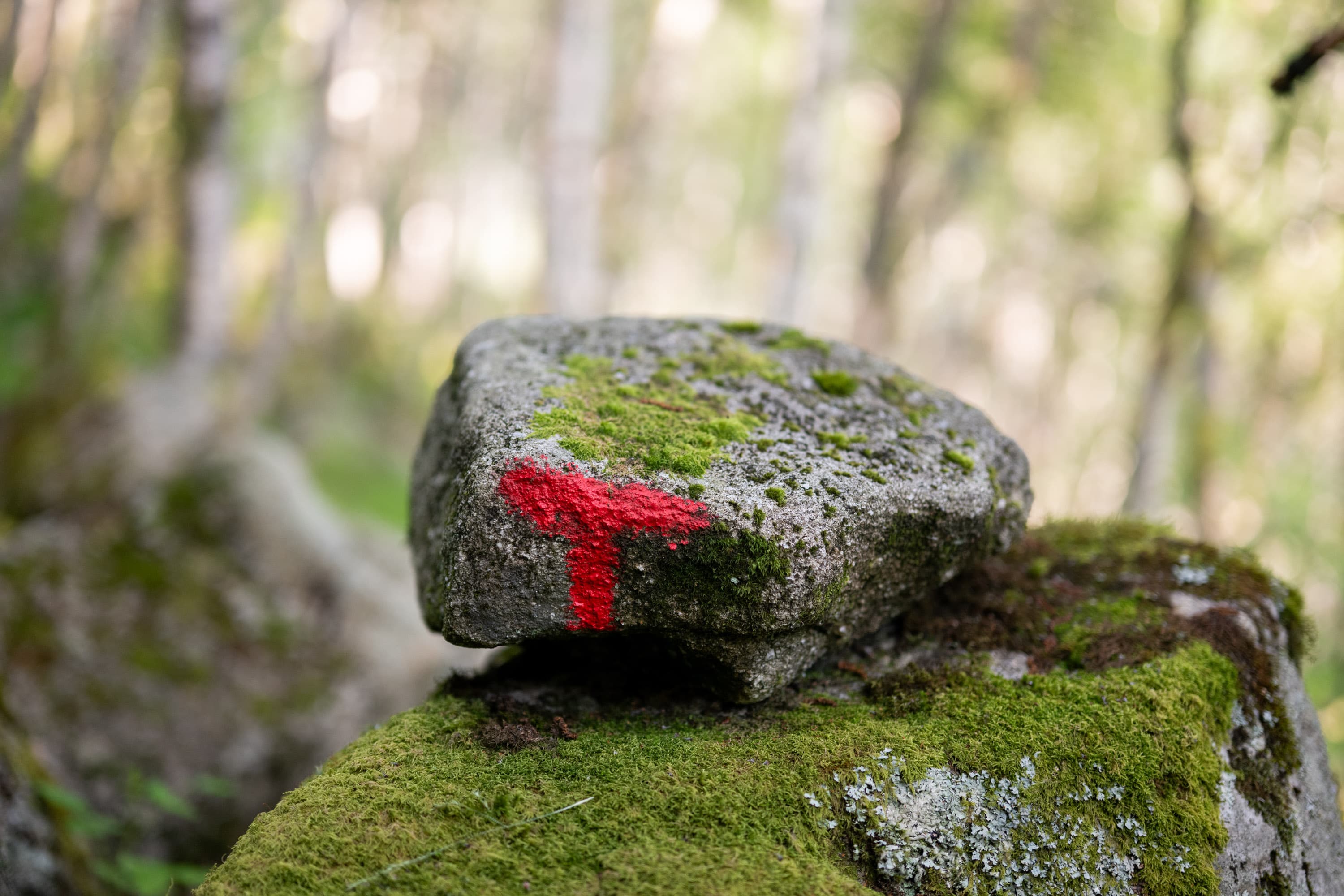 Eikeknuten teltplass