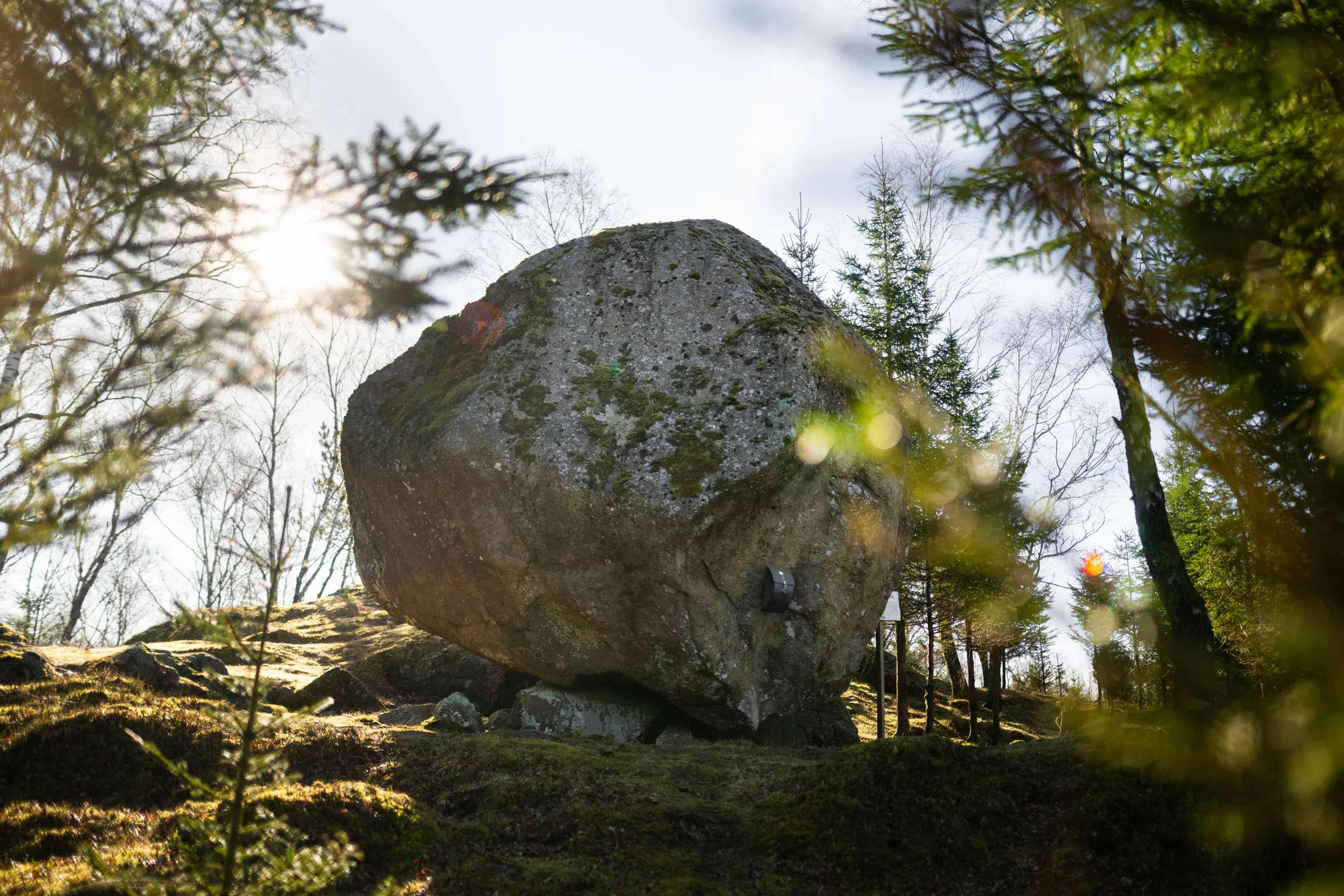 Dvergasteinen