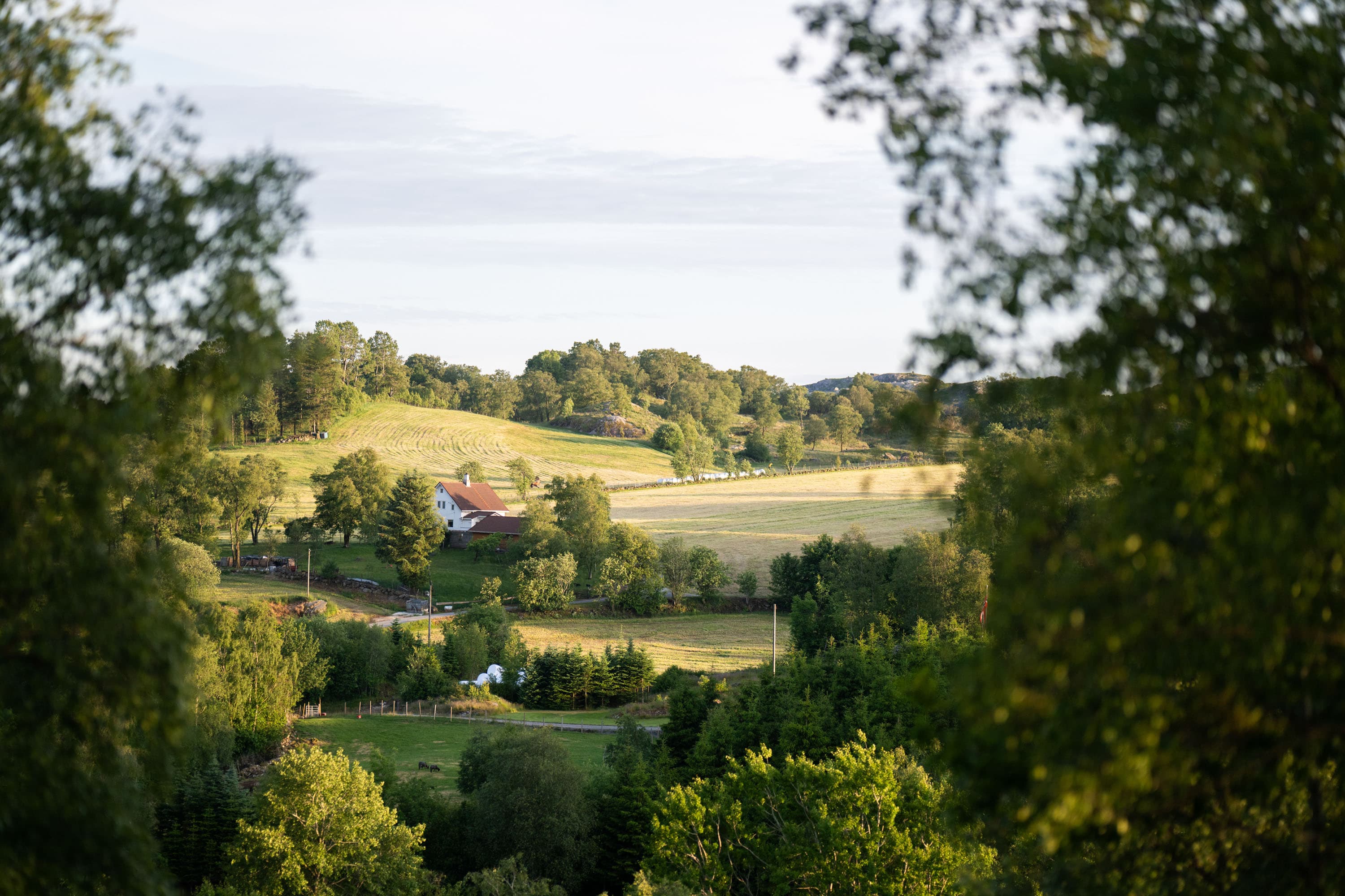 Hengekøye ved Versland gard