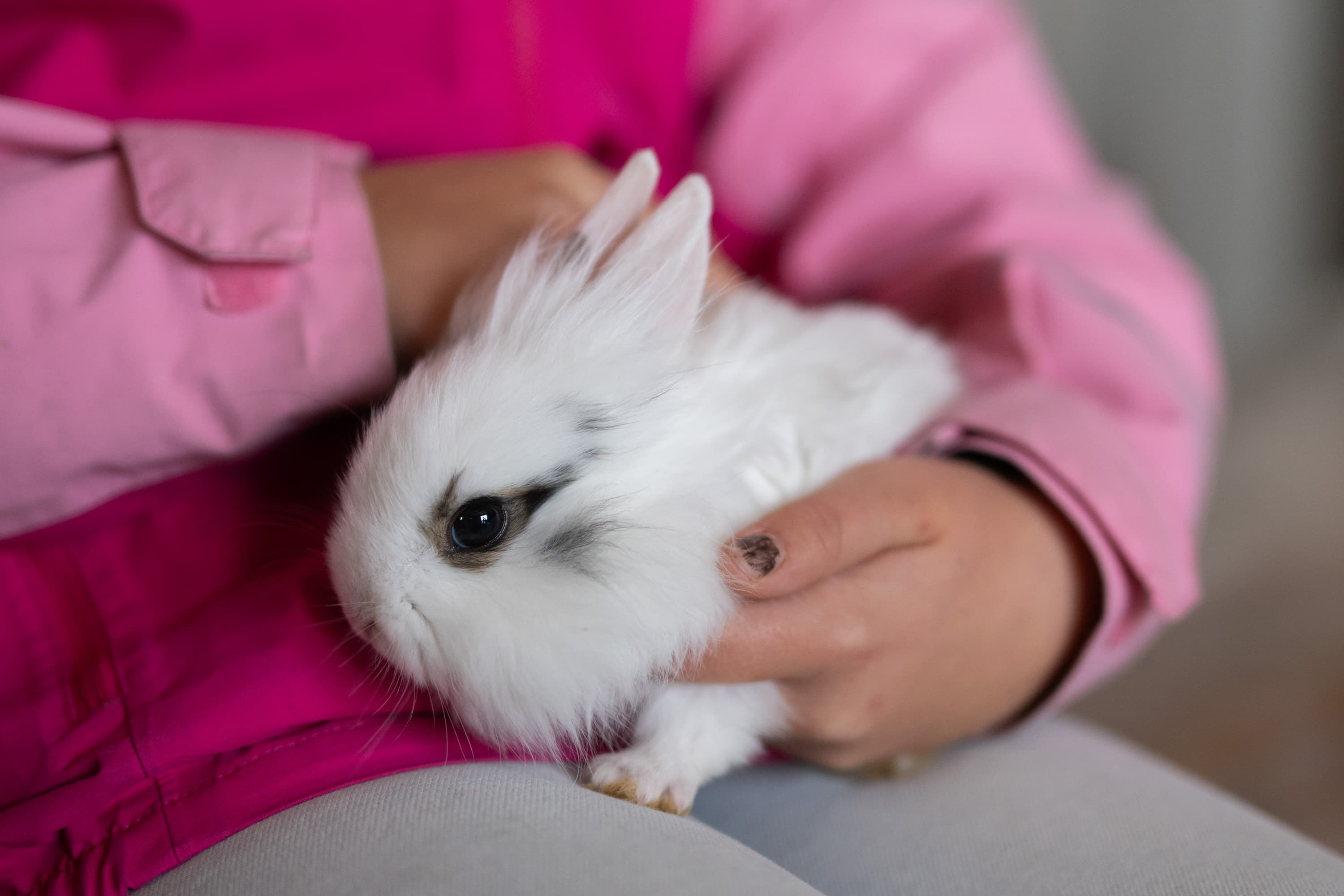 Bjerkreimsmarken 2025