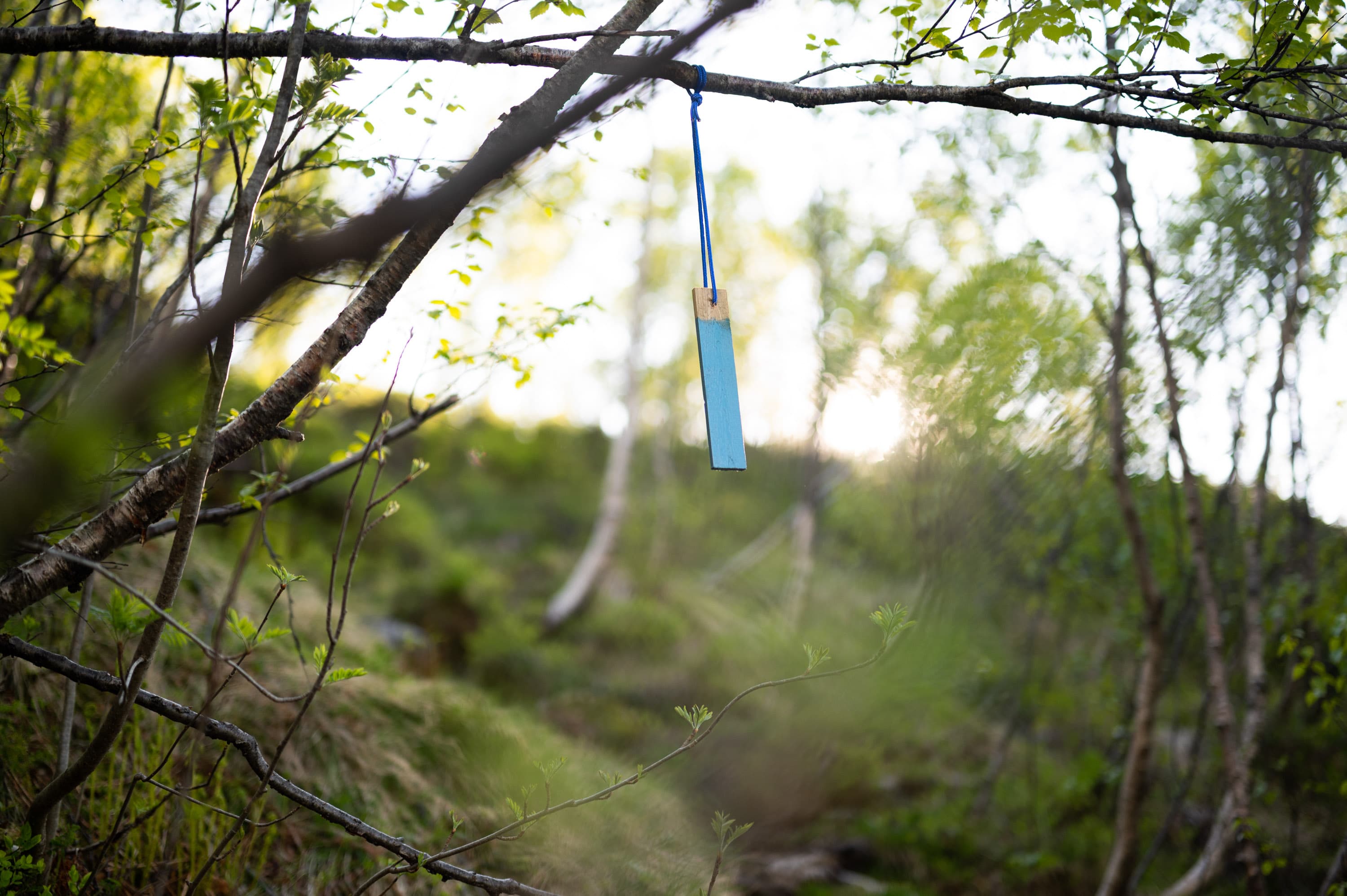 Trollakyrkja teltplass