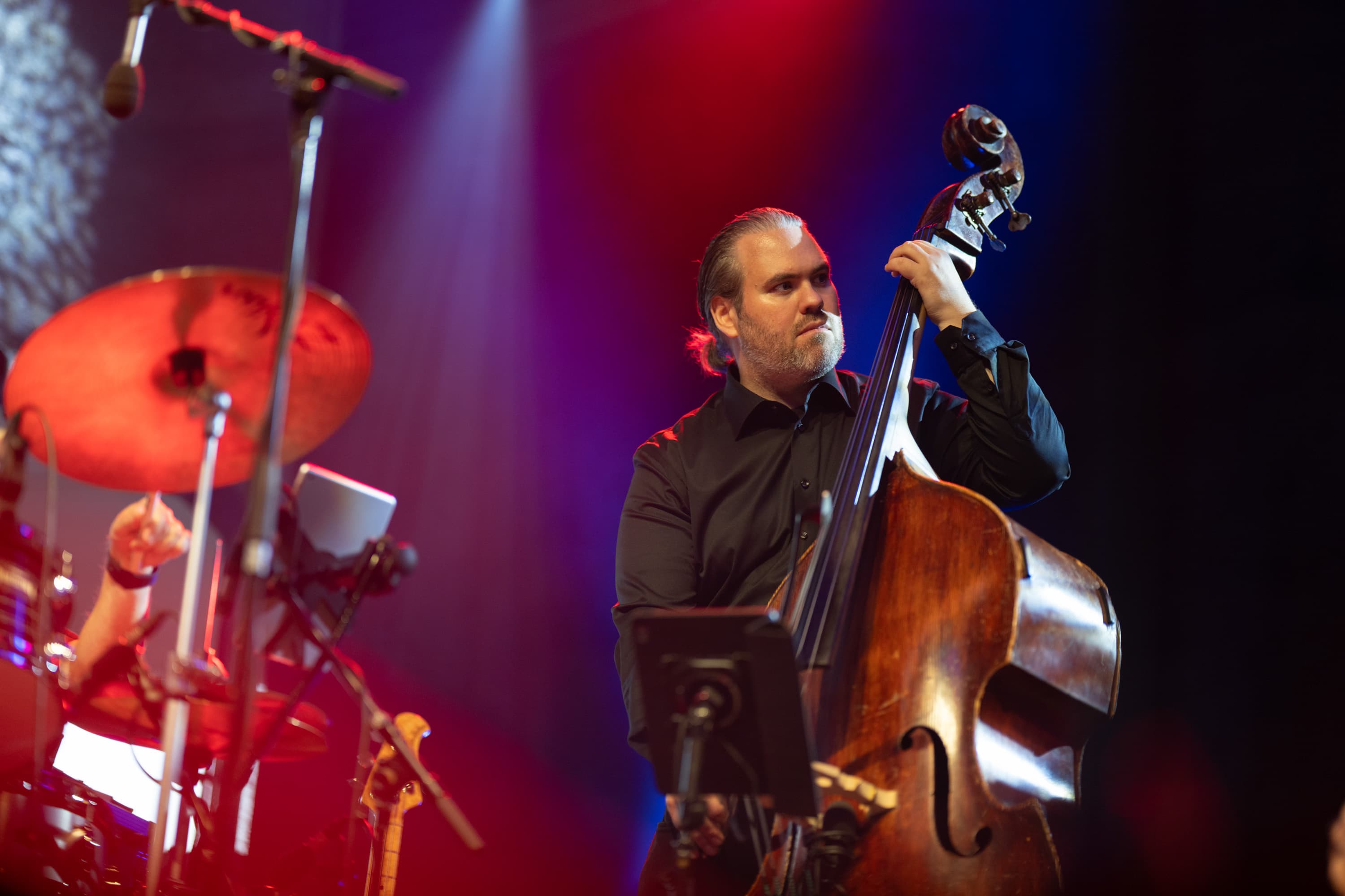 Bjerkreimsmarken 2025