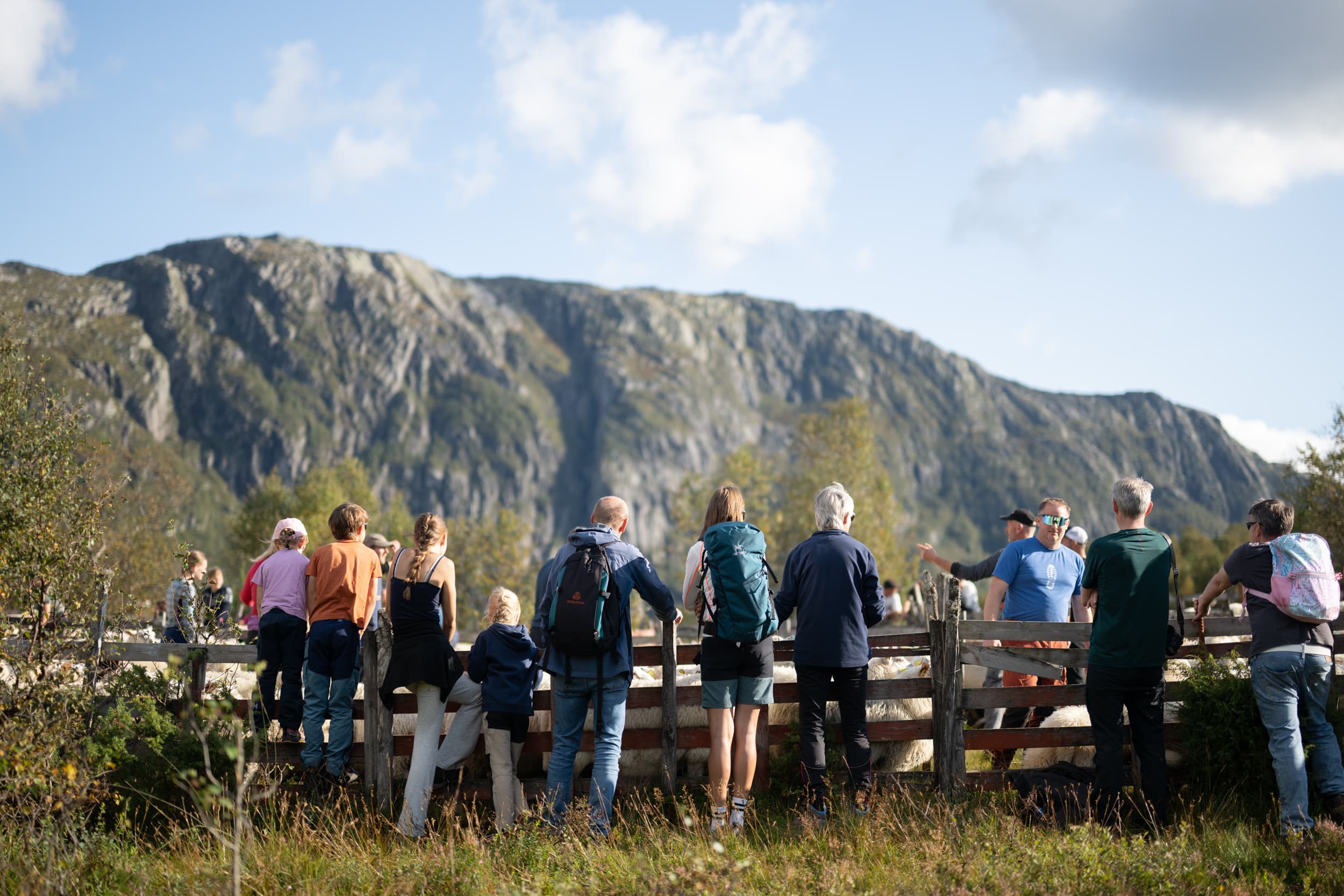 Sauesamling Stavtjørn