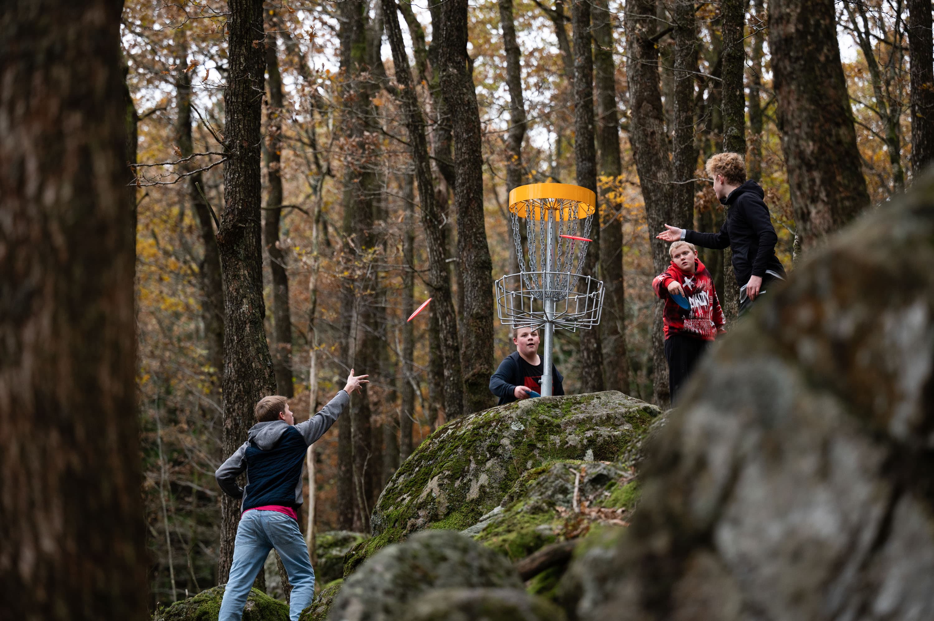 Vikeså frisbeegolfbane