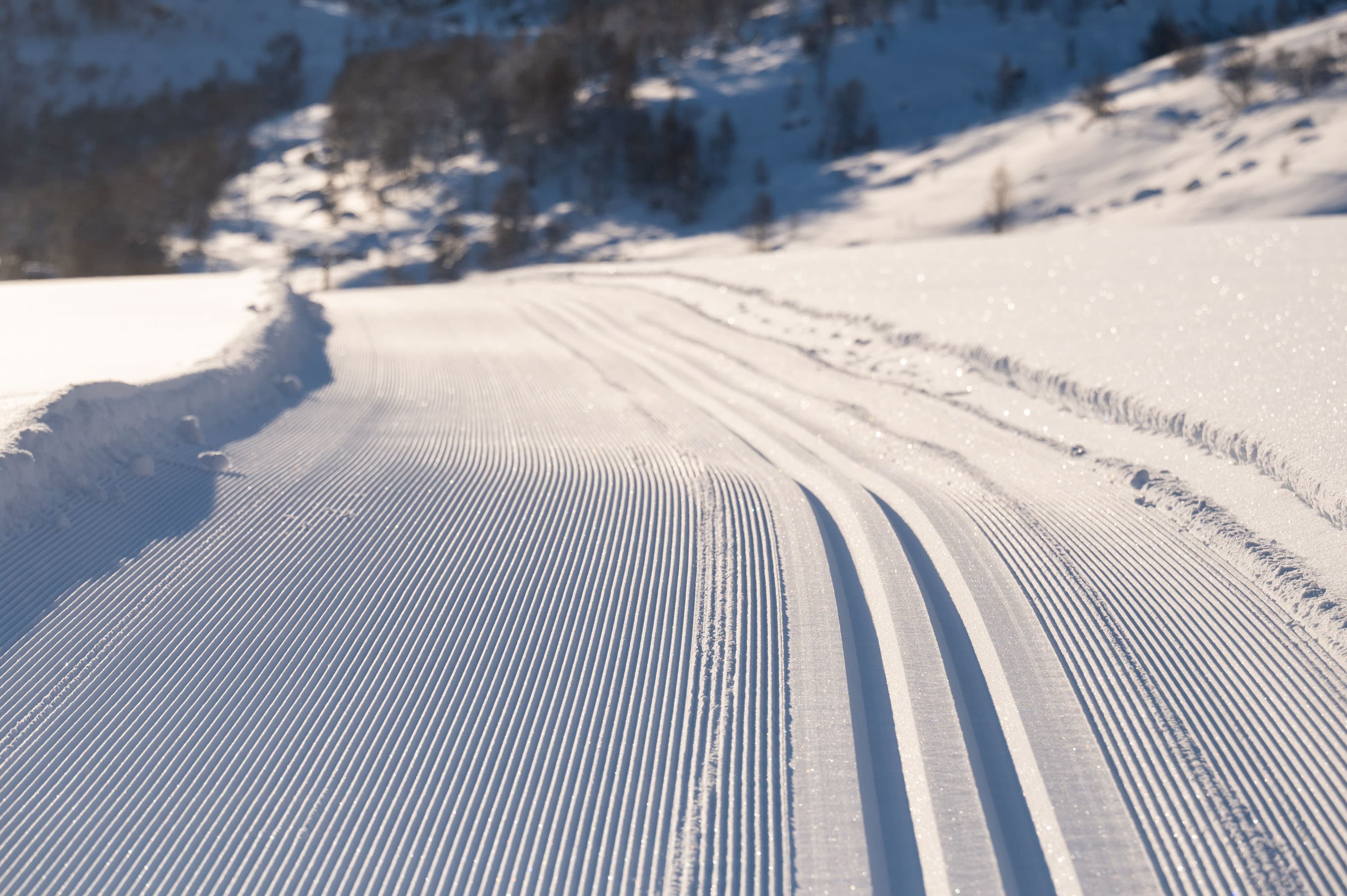 Blå skiløype Stavtjorn V2